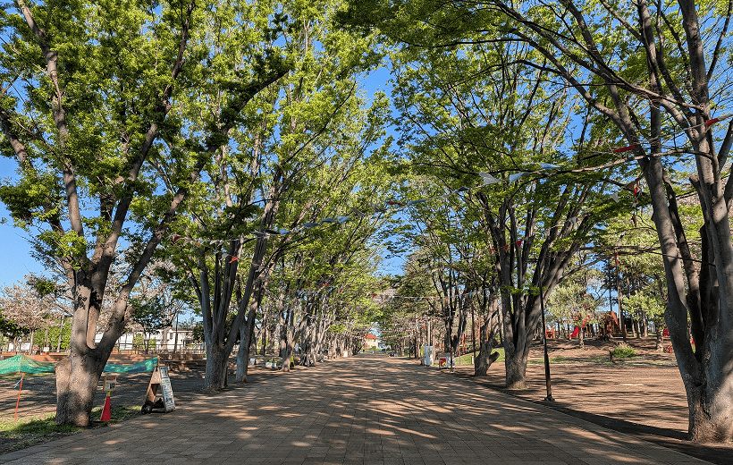 鶴間公園